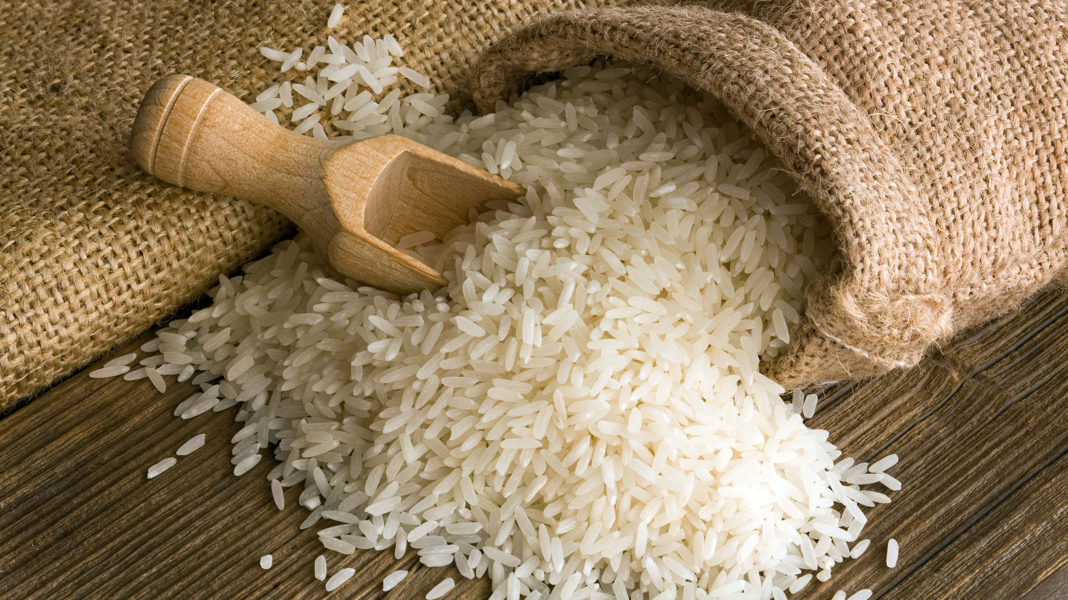 Curiosidades del Saco de arroz 25 kg precio